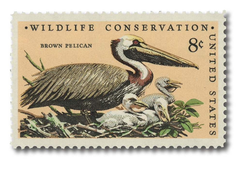 1466 - 1972 8c Wildlife Conservation: Pelican - Mystic Stamp Company