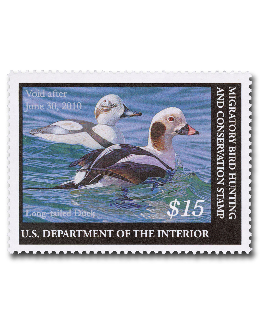 RW76 - 2009 $15.00 Federal Duck Stamp - Long Tailed Duck and Decoy