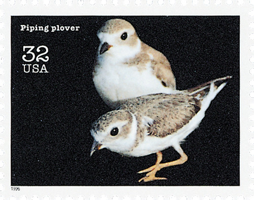 pipi8.9.10❌ s-l1200.jpg