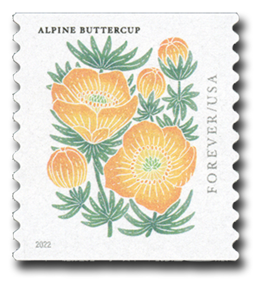 5673 - 2022 First-Class Forever Stamp - Mountain Flora (coil