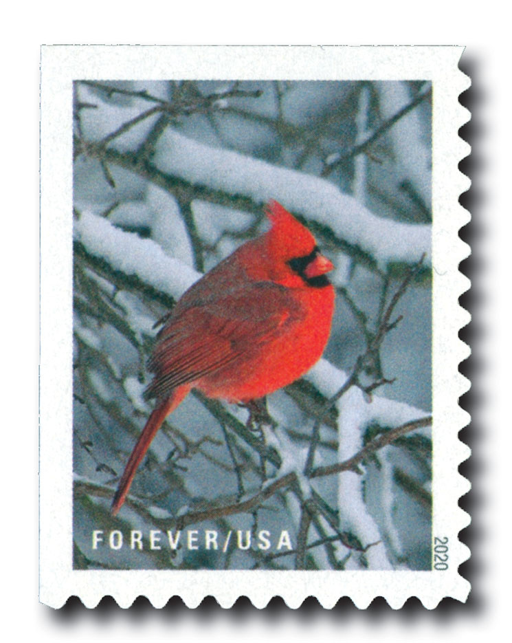 5533 - 2020 First-Class Forever Stamps - Winter Scenes: Cardinal