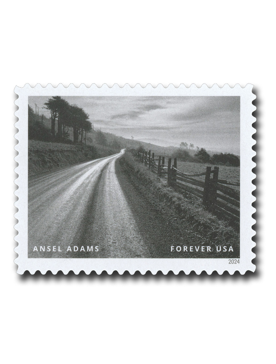 5854o - 2024 First-Class Forever Stamp - Photographs by