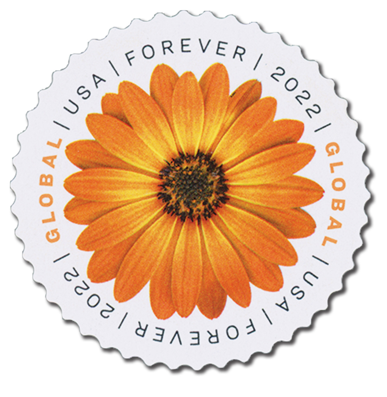 5680 - 2022 Global Forever Stamp: African Daisy - Mystic Stamp Company