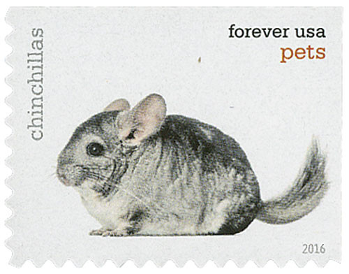 5119 2016 First-Class Forever Stamp Pets: Chinchillas Mystic