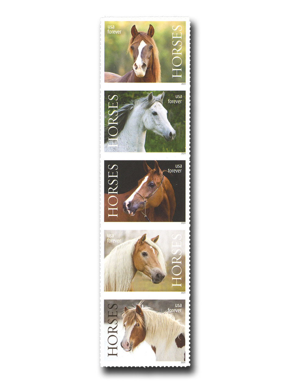 5891-95 - 2024 First-Class Forever Stamps - Horses - Mystic