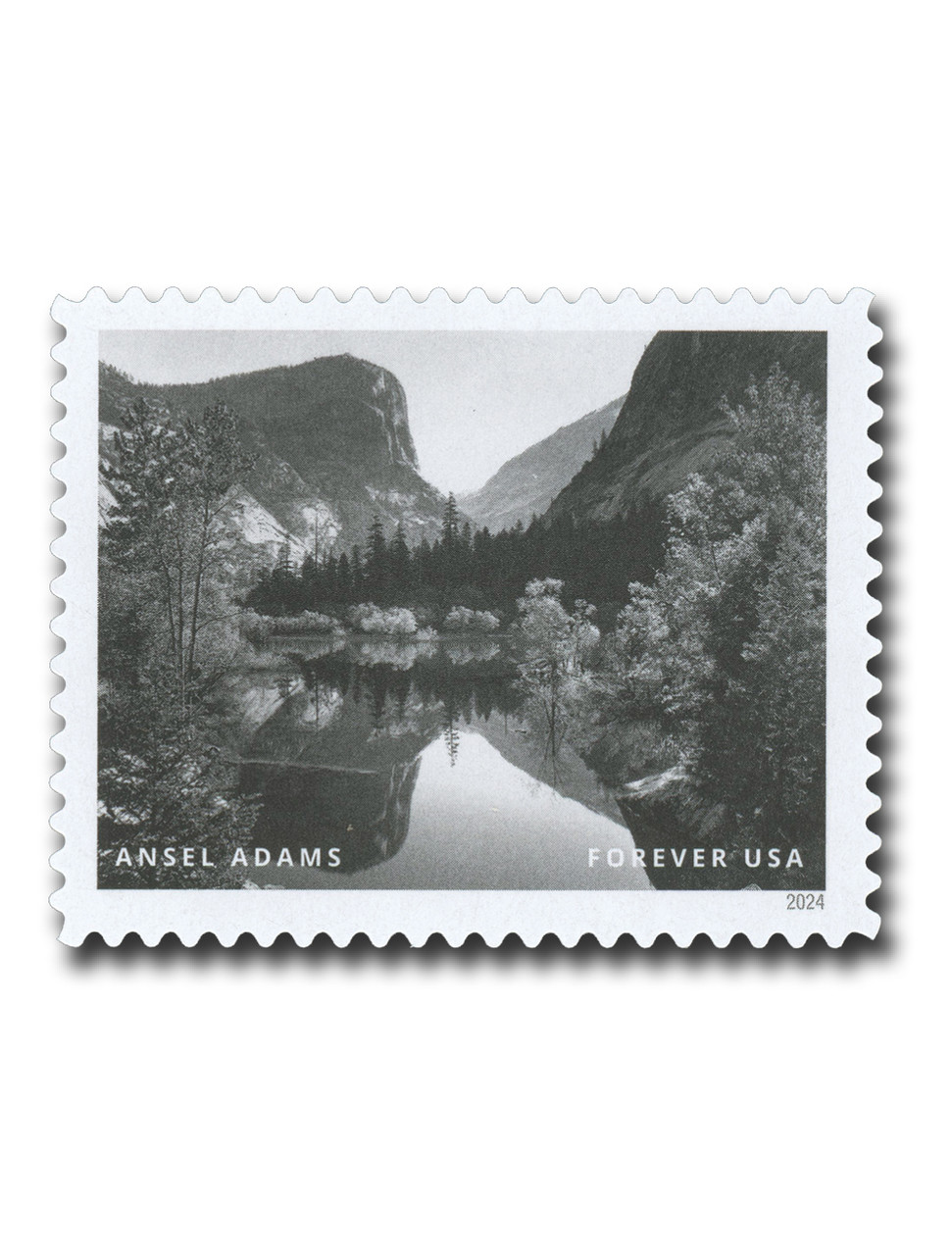 5854l - 2024 First-Class Forever Stamp - Photographs by