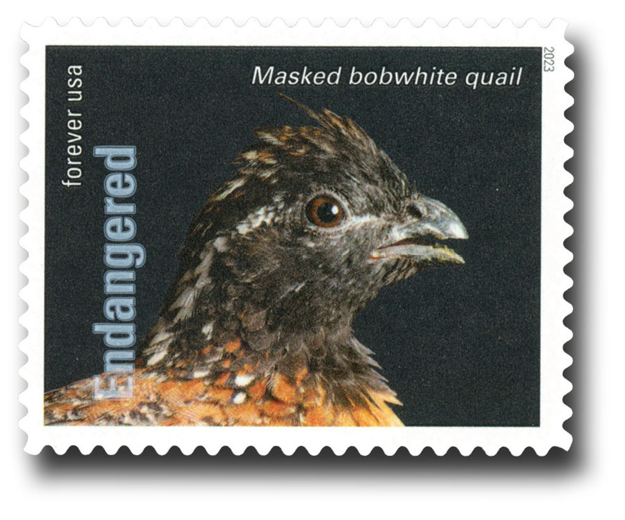 珍しい切手　アメリカ歴史 American Stamps Vintage American Bicentennial Stamps Strip of 4, July 4th, 1776, MNH