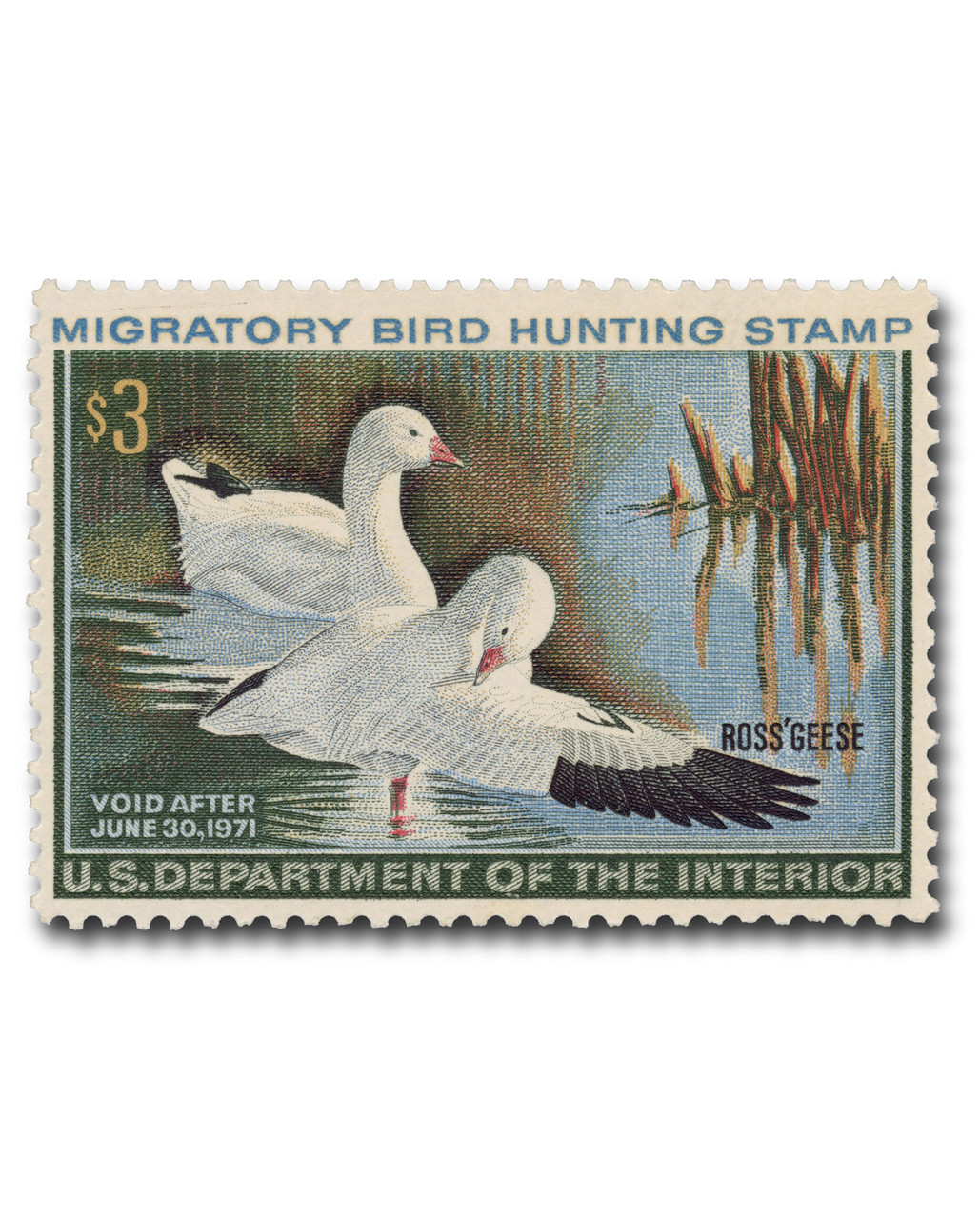 RW37 - 1970 $3.00 Federal Duck Stamp - Ross Geese - Mystic Stamp  display picture 1