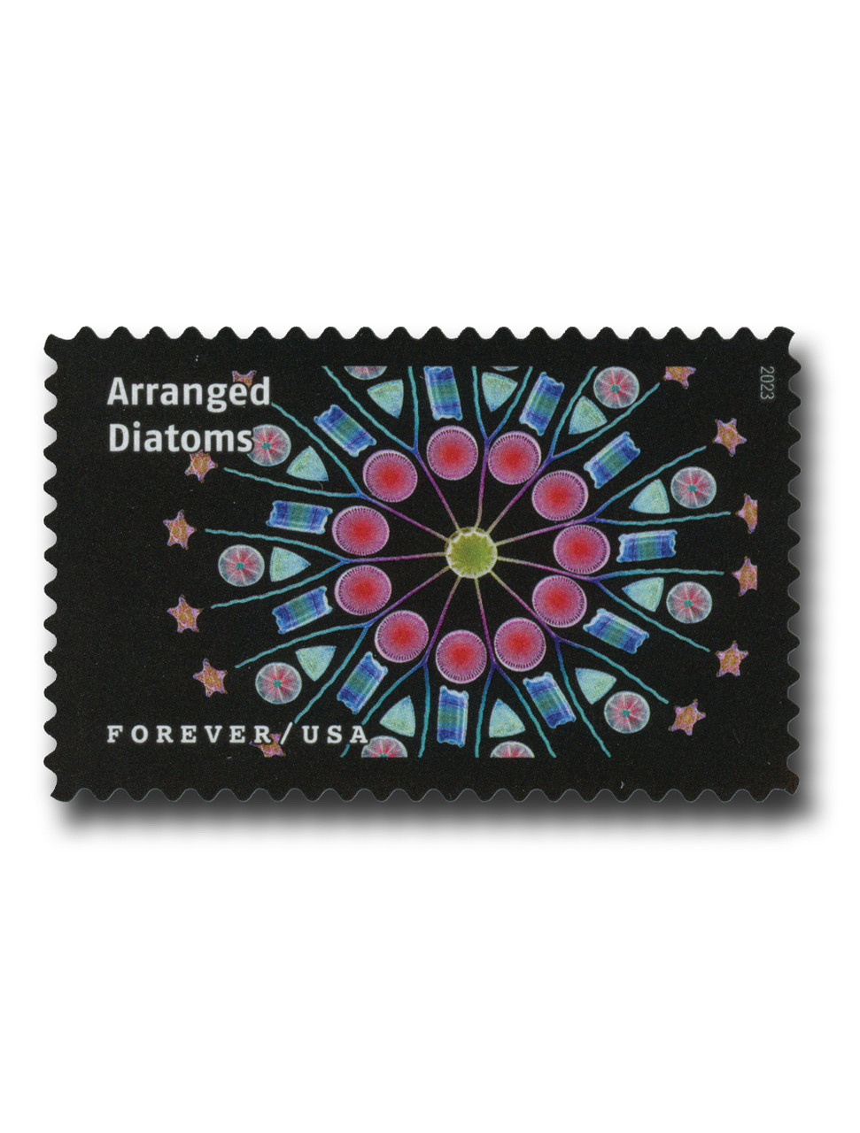 5802e - 2023 First-Class Forever Stamp - Life Magnified: Arranged