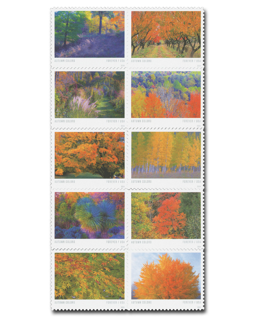 切手38 5929-38 - 2024 First-Class Forever Stamp - Autumn Colors - Mystic