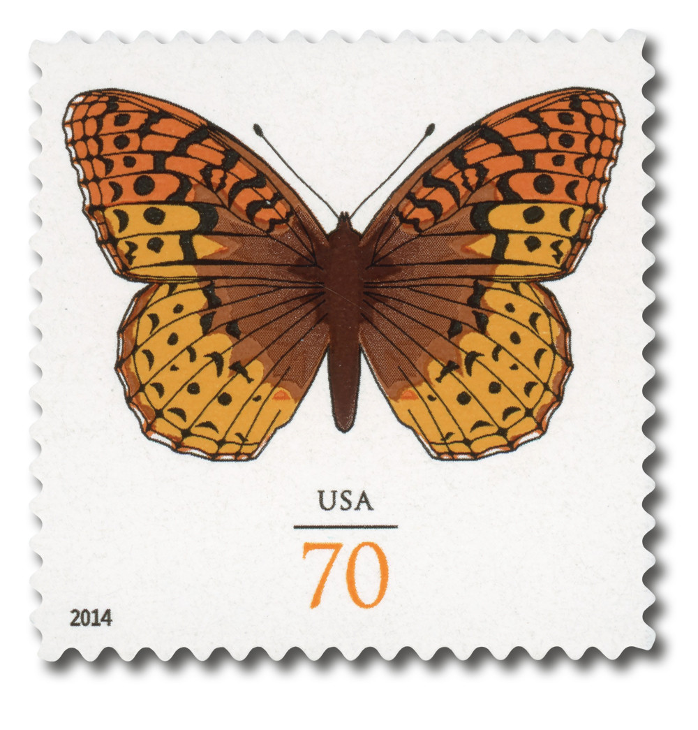 Butterfly Life USA 蝶々　キャンバスF4号 Butterfly Life USA 蝶々 キャンバスF4号 【公式通販】