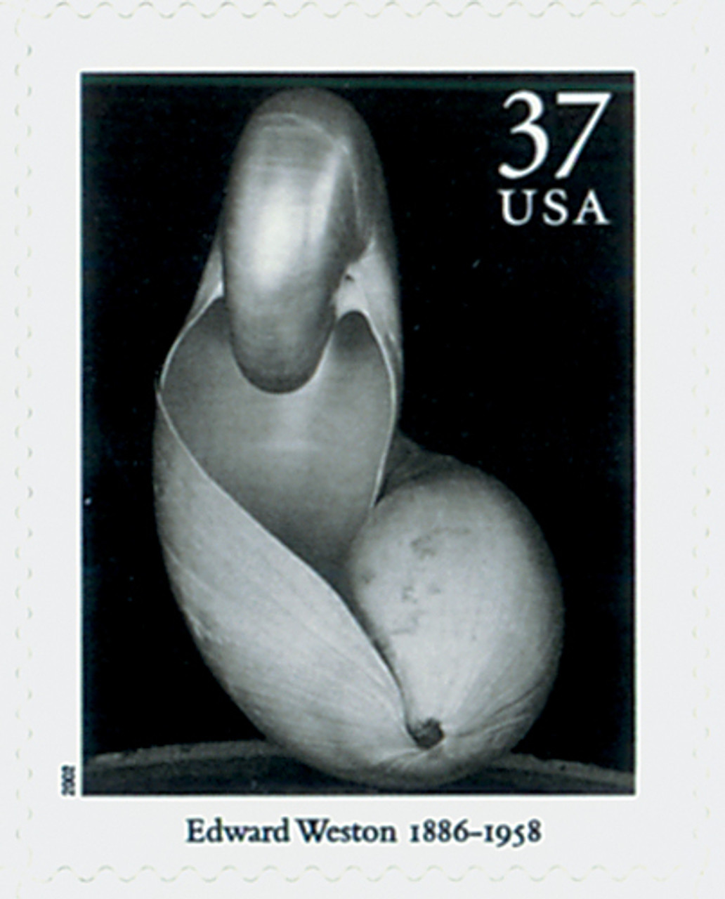 Edward Weston 写真集 Edward Weston on Photography: Edward Weston, Peter C
