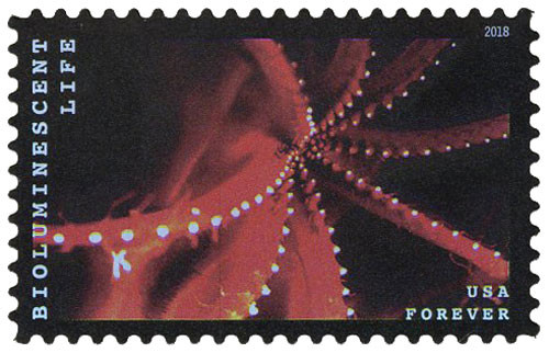 5264 - 2018 First-Class Forever Stamp - Bioluminescent Life