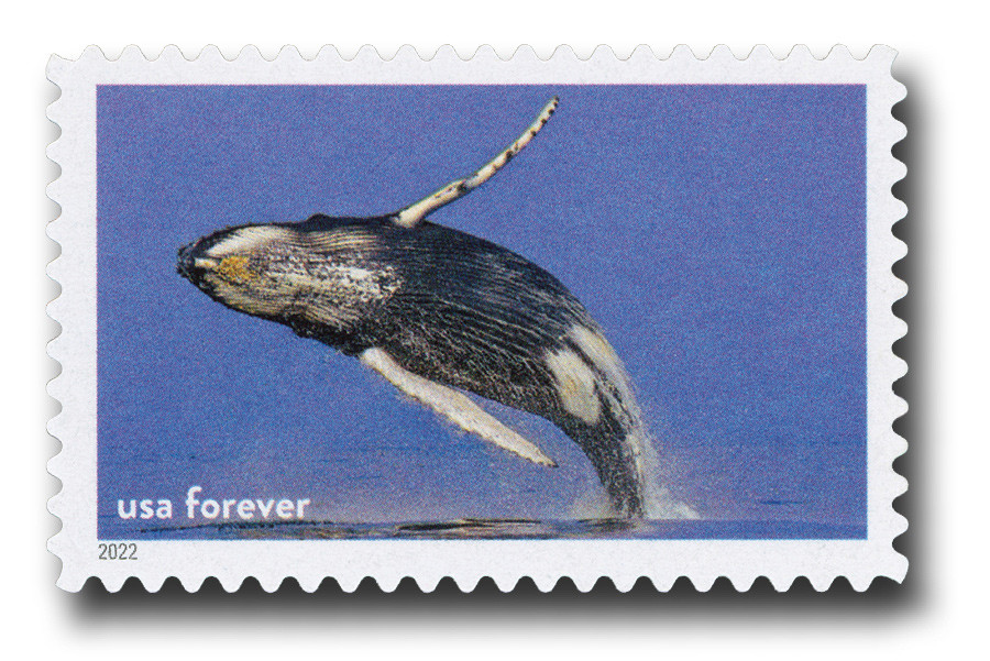 5713c - 2022 First-Class Forever Stamp - National Marine