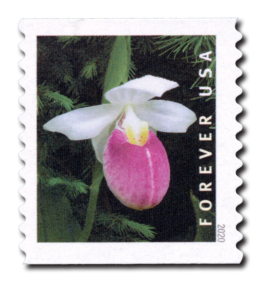 5442 - 2020 First-Class Forever Stamp - Wild Orchids (coil  display picture 1