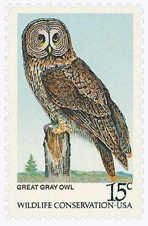 American Crafts Uchi Designs Owls Stamps - Set Of 8 Clear Stamps For Scrapbooking & Crafts - View #2