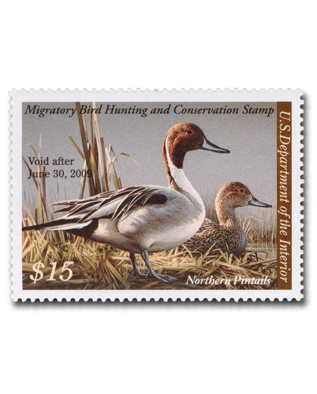 aaamt☆ RW75 - 2008 $15.00 Federal Duck Stamp - Northern Pintail Duck