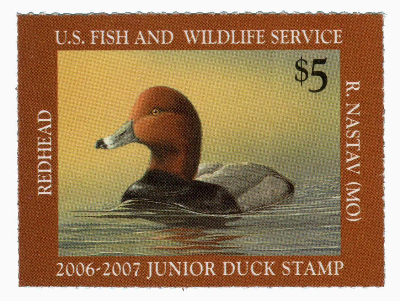 JDS14 - 2006 $5 Junior Duck Stamp - Redhead