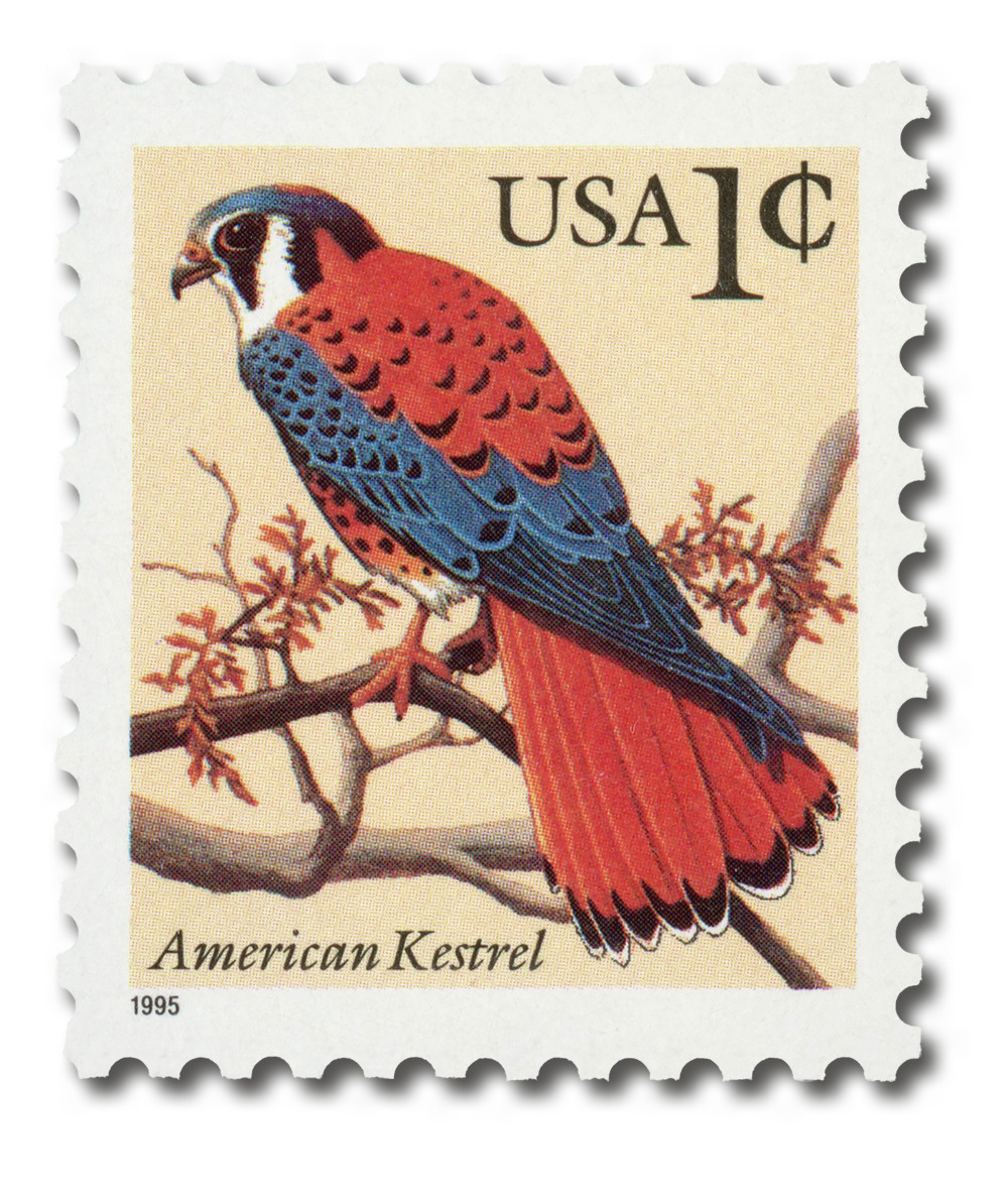 2477 - 1995 1c Flora & Fauna Series: American Kestrel, Cent Sign