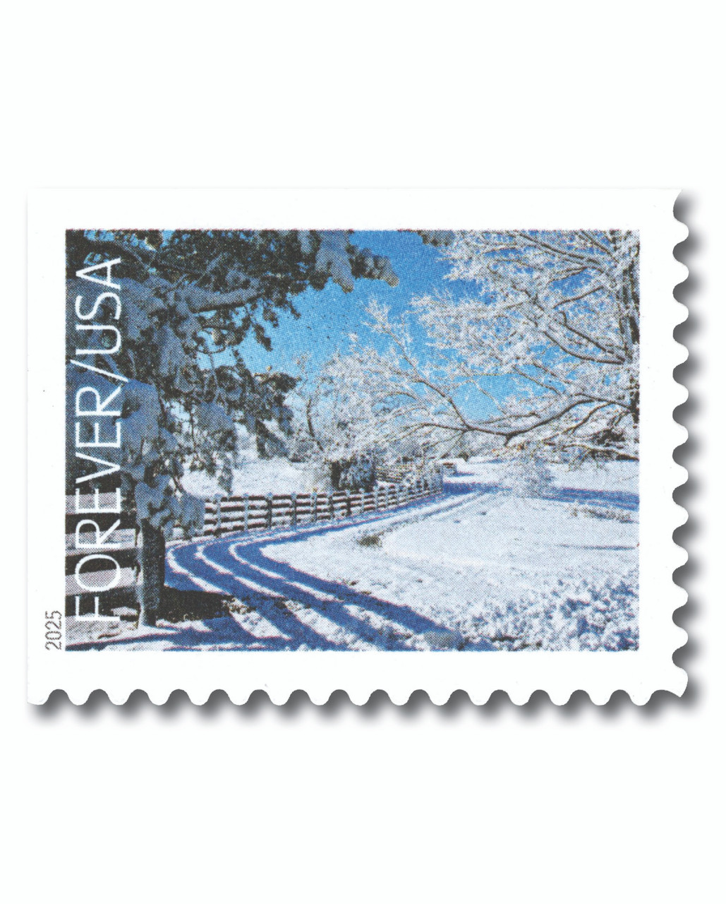 6039 - 2025 First-Class Forever Stamp - Snow-Covered Trees and Fence