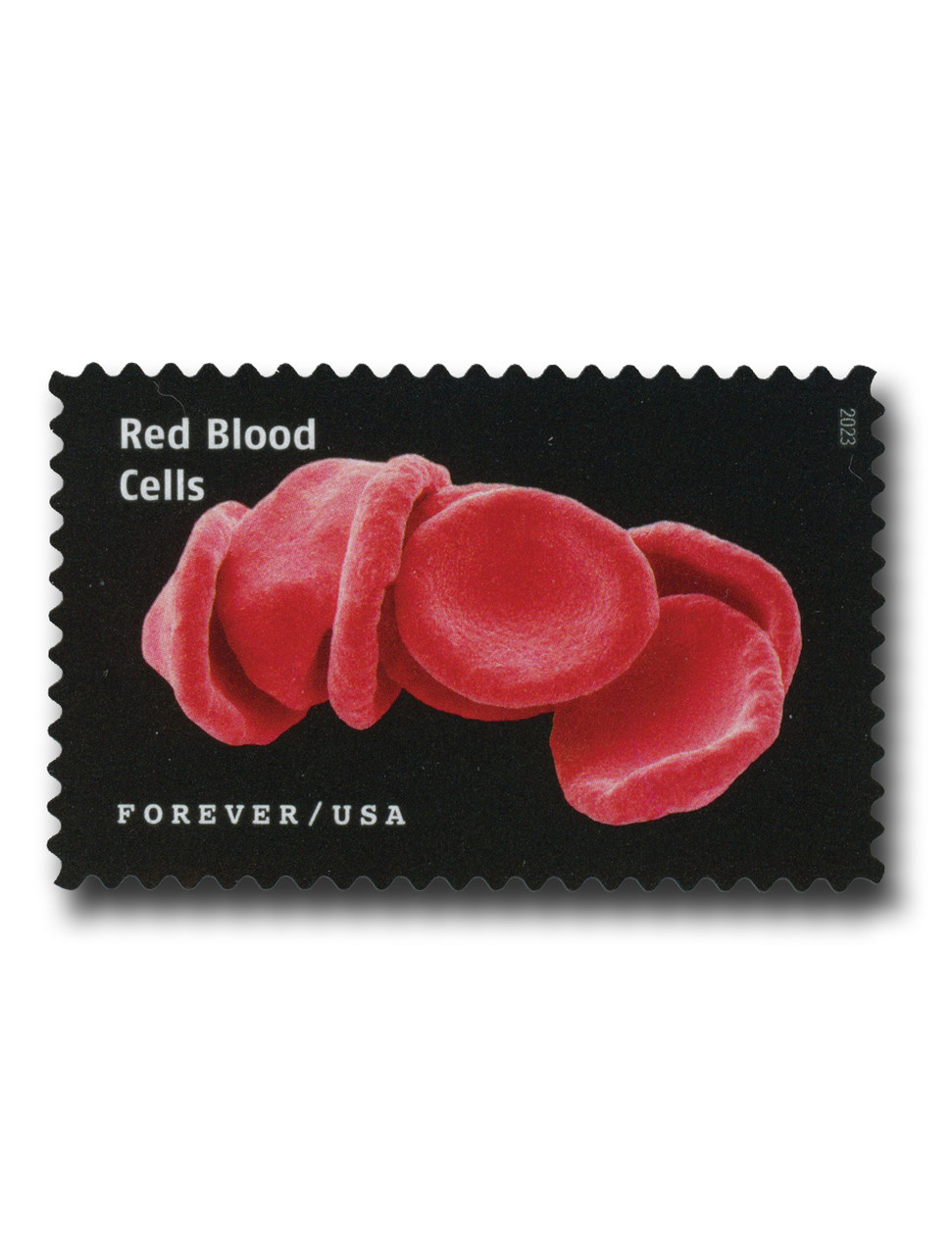 5802a - 2023 First-Class Forever Stamp - Life Magnified: Red Blood Cells