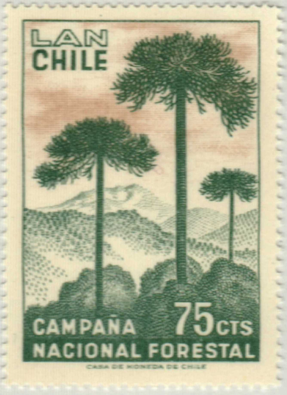 C274 - 1967 Chile