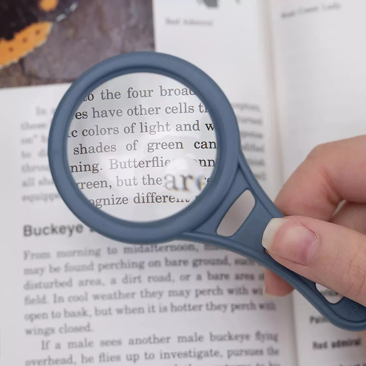 LS361 - Carson MagnetMag 3x Handheld Magnifier