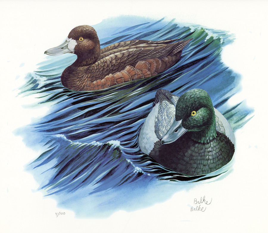 38514A - 1999 U.S. Duck Art Unframed Signed Print
