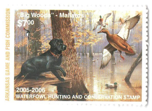 SDAR26 - 2005 Arkansas State Duck Stamp