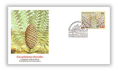 7257236 - 1996 NY Endangered Species Encephalartos