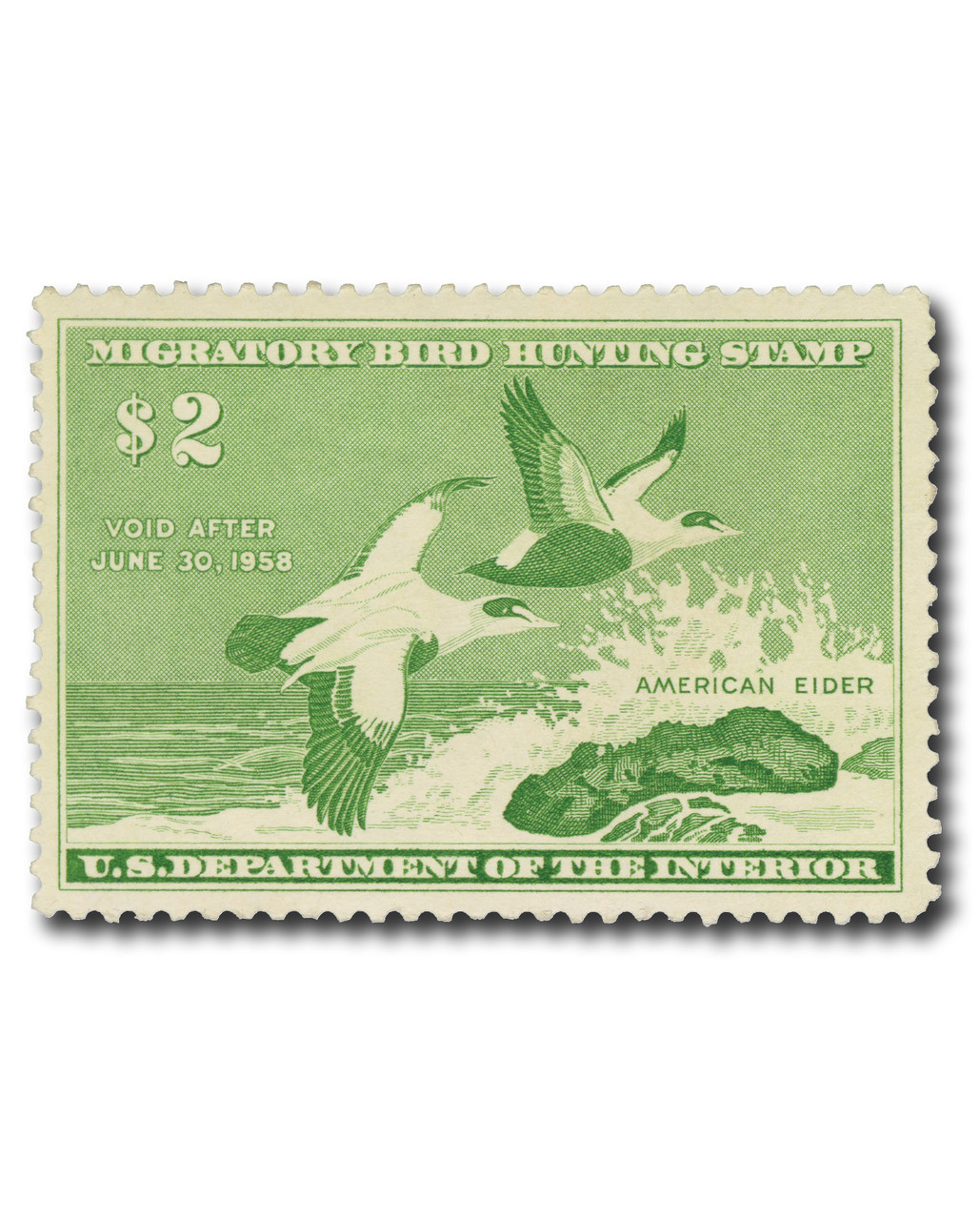 RW24 - 1957 $2.00 Federal Duck Stamp - American Eider