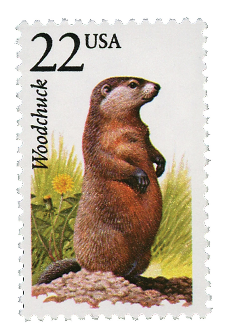 ウィアーキュー　1980年代　アメリカンビンテージ 2307 - 1987 22c North American Wildlife: Woodchuck - Mystic Stamp