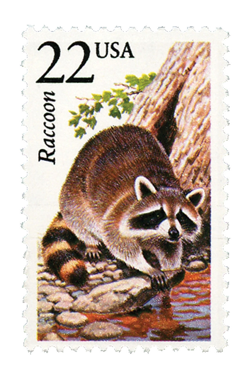 raccoonページ 2331 - 1987 22c North American Wildlife: Raccoon - Mystic Stamp