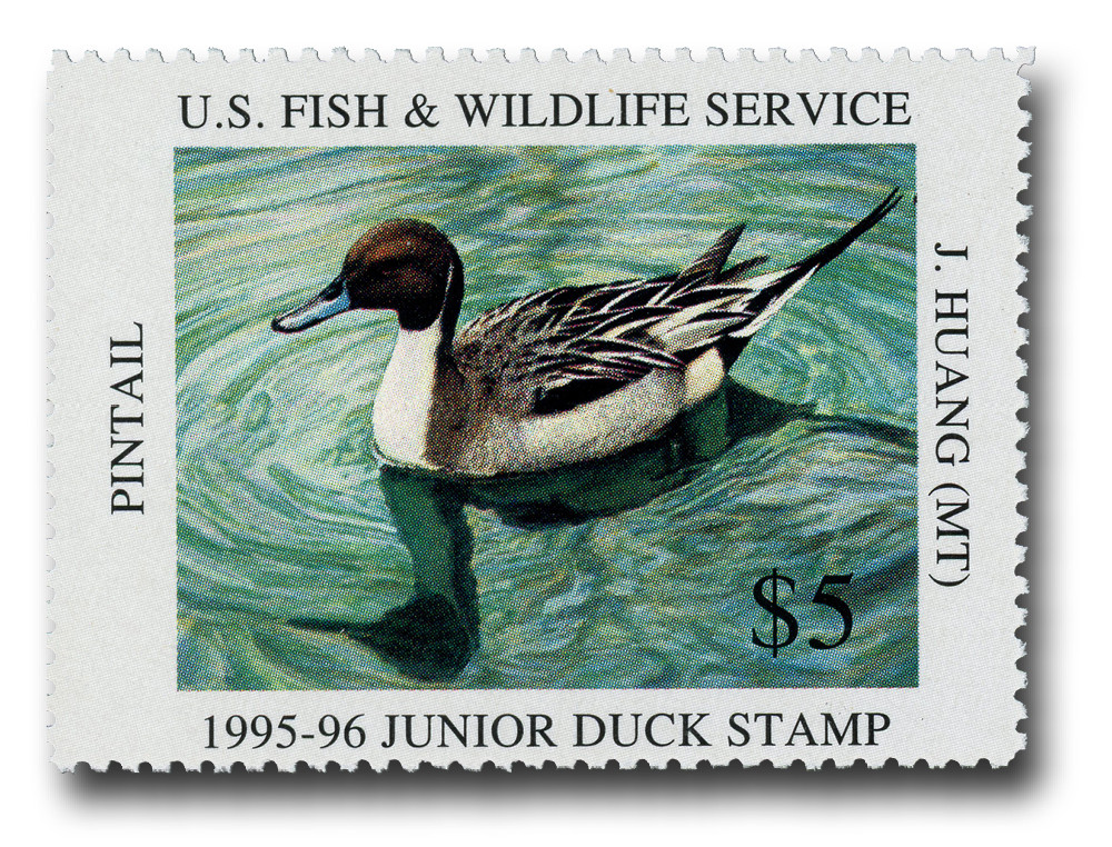 JDS3 - 1995 $5 Junior Duck Stamp - Pintail
