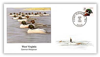 41224A - 1992 West Virginia Common Merganser Cover