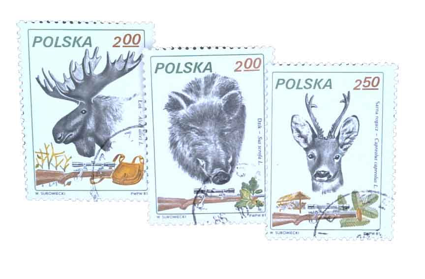 2450//53 - 1981 Poland