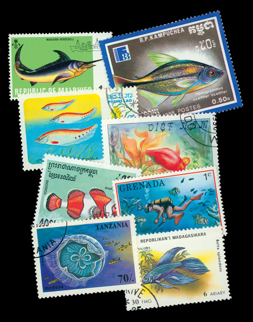 M3807 - Fish, 100 Different Stamps