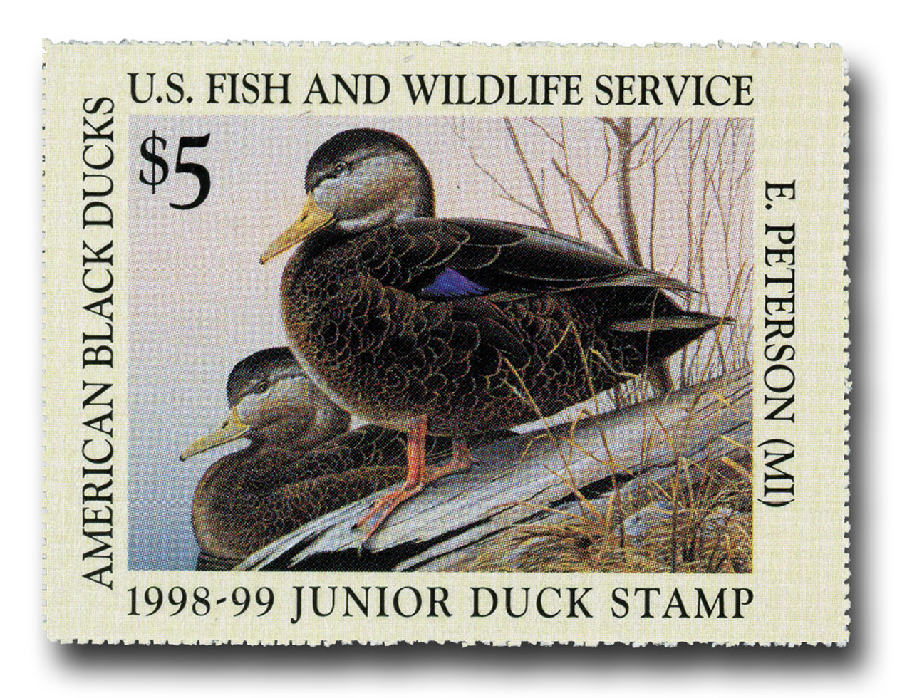 JDS6 -  1998 $5 Black Duck Junior Duck Stamp