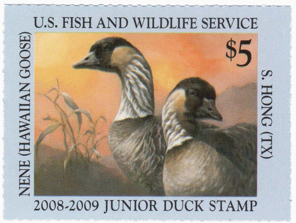 JDS16 - 2008 $5 Junior Duck Stamp - Hawaiian Nene Geese