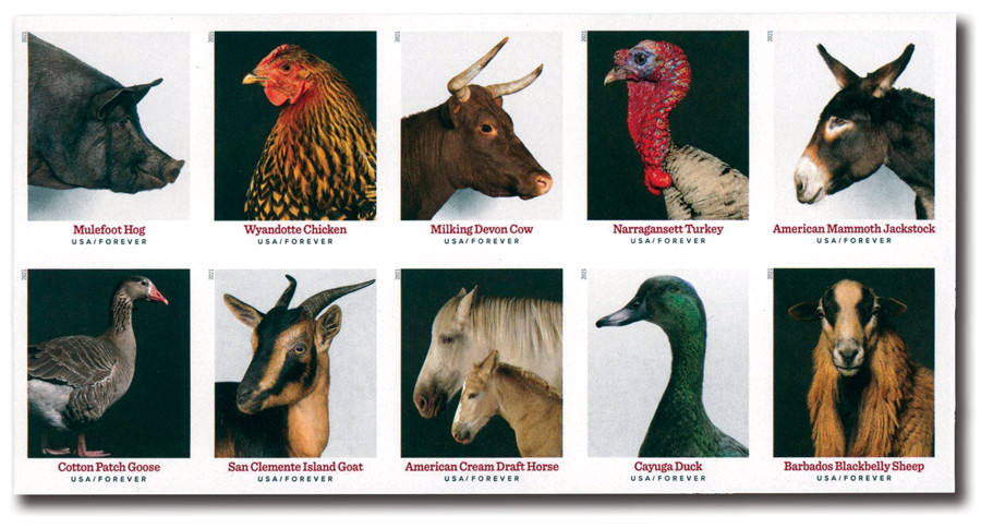 5583-92c - 2021 First-Class Forever Stamps - Imperforate Heritage Breeds