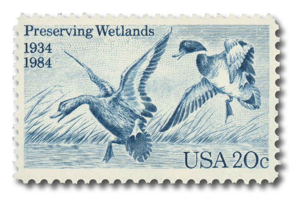 2092 - 1984 20c Preserving Wetlands
