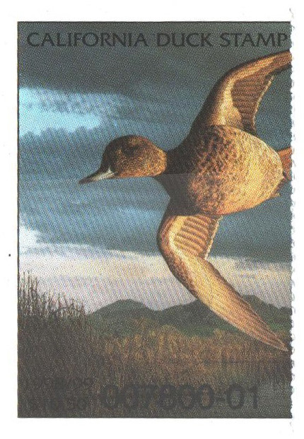 SDCA29b - 1998 California State Duck Stamp