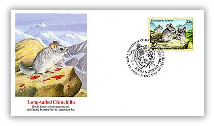 7270836 - 1999 33c NY Chinchilla