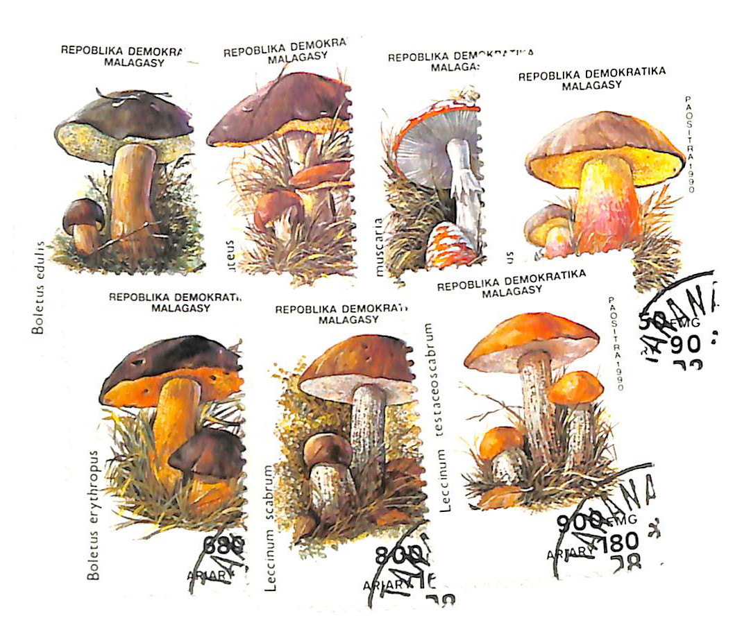 1001C-I - 1990 Malagasy Republic