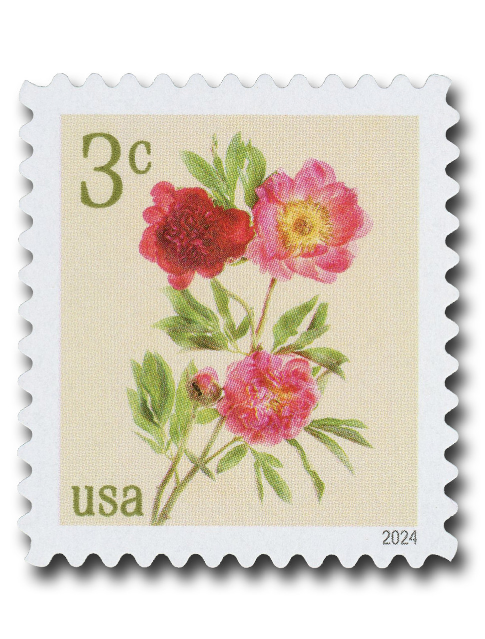 5899 - 2024 3c Peonies (from pane) - Mystic Stamp Company