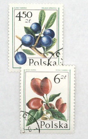 2204-05 - 1977 Poland