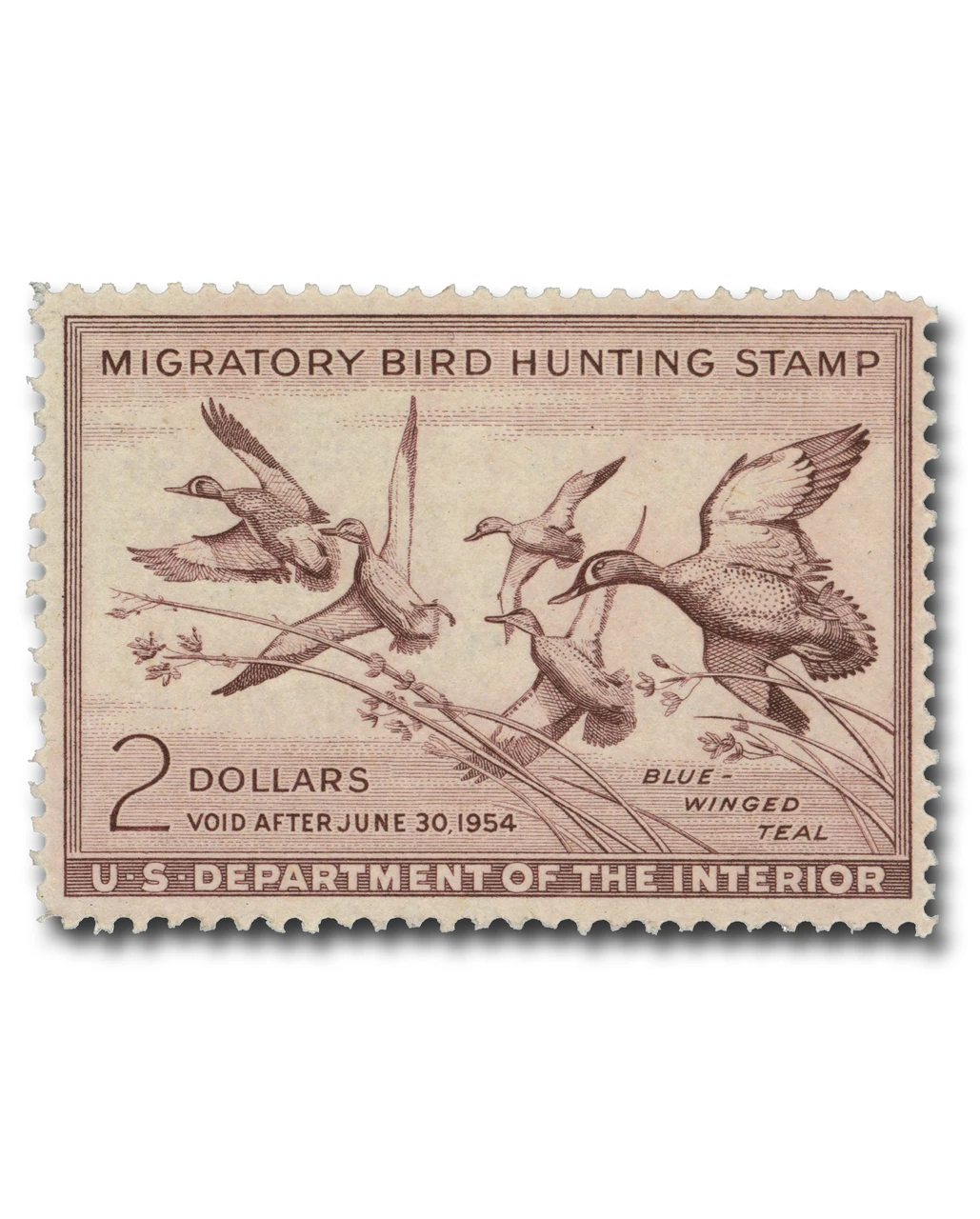 RW20 - 1953 $2.00 Federal Duck Stamp - Blue-Winged Teal