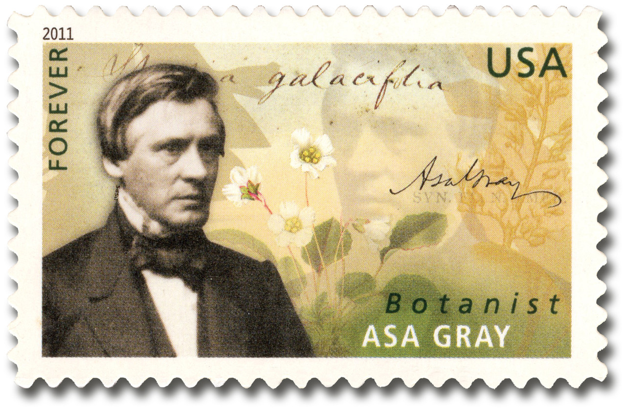 4542 - 2011 First-Class Forever Stamp -  American Scientists: Asa Gray