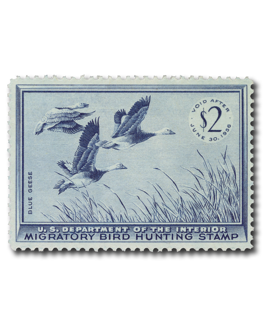RW22 - 1955 $2.00 Federal Duck Stamp - Blue Geese