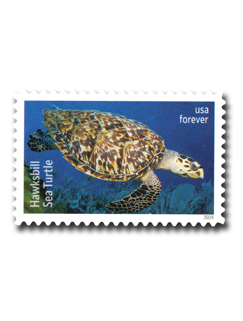 INSCRIRE Regimental Stripes Turtle タートル 5869 - 2024 First-Class Forever Stamp - Protect Sea Turtles